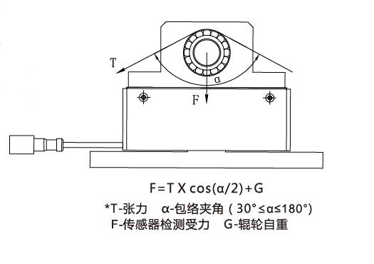 TLSC DRAWING 1