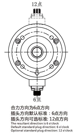 TLSE DRAWING 1